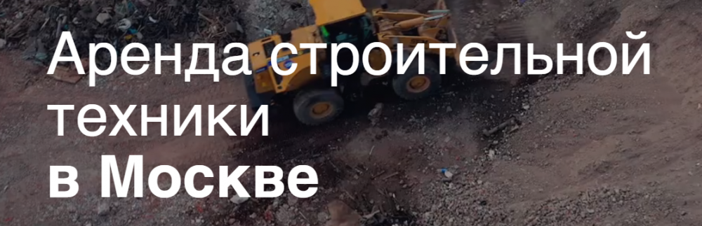 Наш Лабрадор